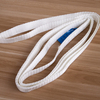 Sling de cintas sin fin de 250 kg