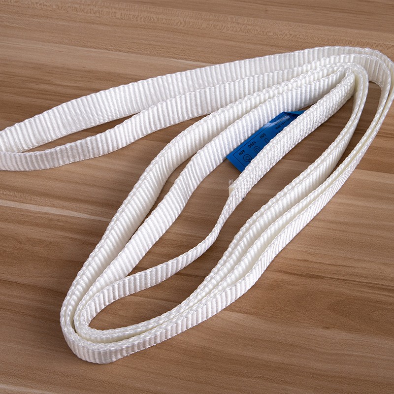 Sling de cintas sin fin de 250 kg