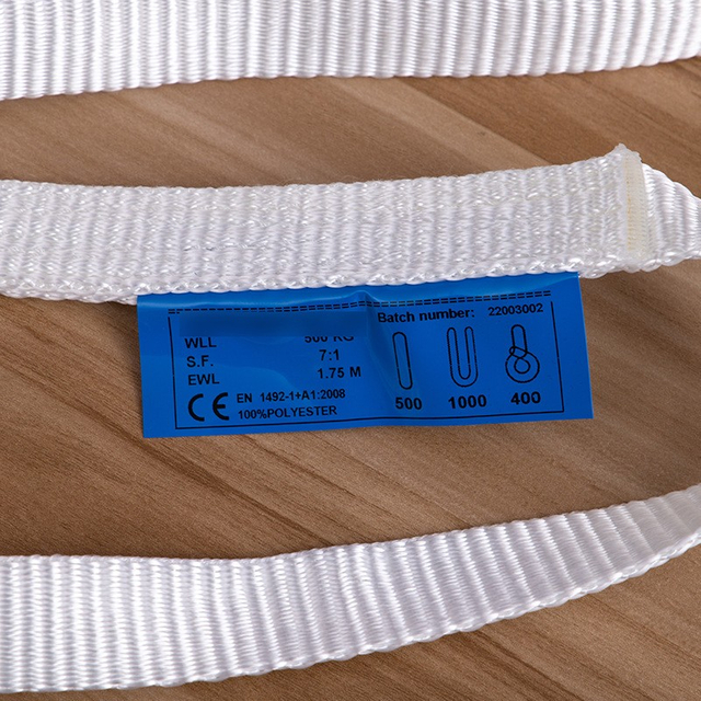 Sling de cintas sin fin de 250 kg